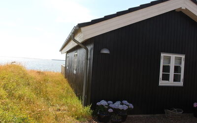 Aarne - 30M from the Sea