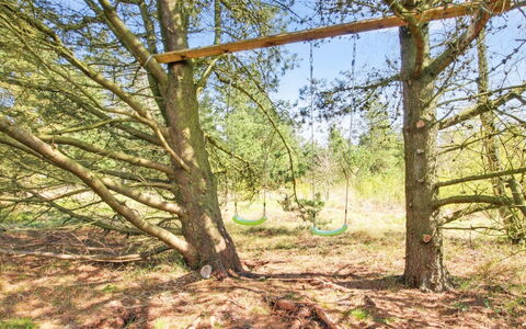 Efimija - 1.4Km from the Sea: Branche, Bois, Brindille, Tronc, Réserve Naturelle, Forêt, Suppression Des Plantes Ligneuses, Des Bois, Sol