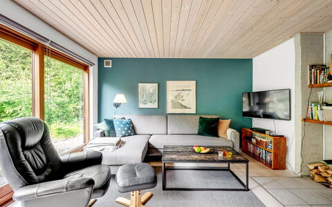 Hilde - 350M to the Fjord: Meubles, Design Intérieur, Sol, Bois, Salon, Sol, Plafond, Canapé, Domicile, Éclairage