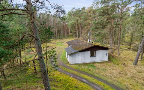 Awa - 800M from the Sea: Arbre, Bois, Forêt, Lot Terre, Chalet, Zone Rurale, Des Bois, Cabanon