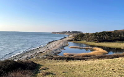 Gjuro - 800M from the Sea