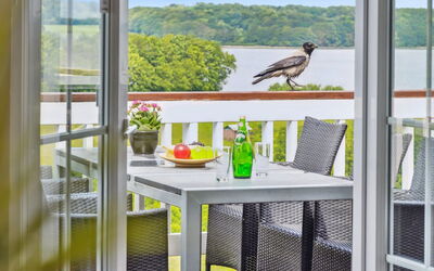Isbiorn - 300M from the Sea
