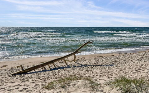 Tilje - 800M from the Sea: 