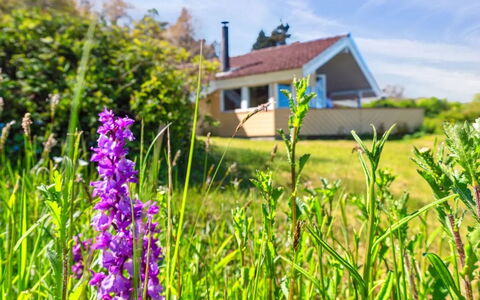 Henric - 75M from the Sea: Fleur, Prairie, Prairie, Printemps, Champ, Chalet, Wildflower, Jardin, Plante Herbacée, Ferme