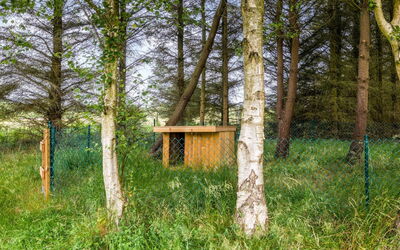 Marlise - 2.5Km from the Sea