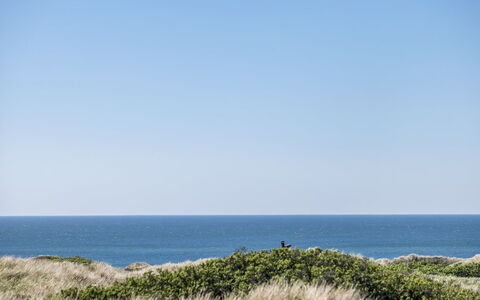 Carit - 450M from the Sea: Herbe, Vert, Maison, Chalet, Prairie, Zone Rurale, Écorégion, Paysage, Lot Terre, Arbuste