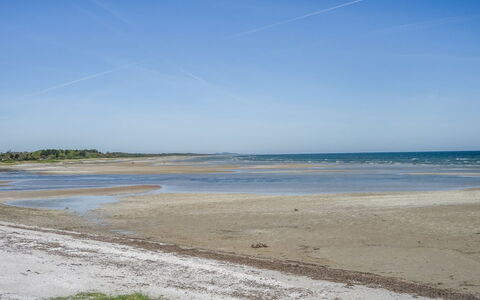 Eleanore - 25M from the Sea: Bois, Domicile, Porche, Plate-Forme, Dur, Toit, Tache De Bois, Parquet, Eco Hôtel