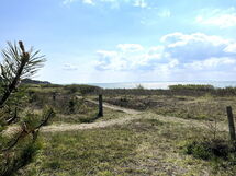 michael - 250m From The Sea