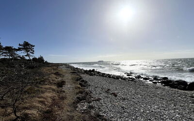 Aimy - 50M from the Sea