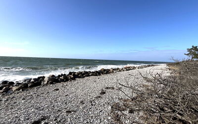 Aimy - 50M from the Sea