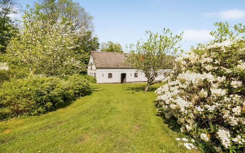 Ejnarine - 600M to the Fjord: Arbre, Herbe, Branche, Arbuste, Zone Rurale, Chalet, Brindille, Printemps, Prairie
