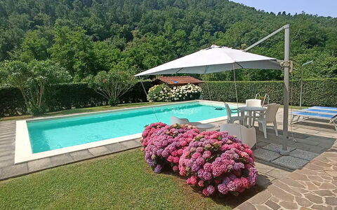 Villa Carducci