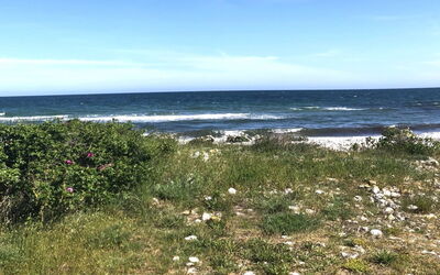 Tuulikki - 100M from the Sea