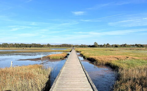 Zezilie - 500M from the Sea: Toit, Chalet, Domicile, Ombre, Siding, Ferme, Porche, Structure En Plein Air, Batiments Jardin