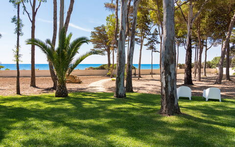 Villa Plemmirio: Ciel, Plante, Jour, Propriété, L'Eau, Arbre, Paysage Naturel, Ombre, Botanique, Bois
