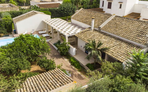 Villa Terrenove: Bâtiment, Plante, Fenêtre, Botanique, Lot Terre, Design Urbain, Végétation, Arbre, Biome, Toit