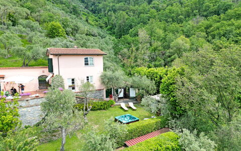 Villetta Verde: Plante, Communauté Des Plantes, Arbre, Paysage Naturel, Bâtiment, Maison, Végétation, Fenêtre, Lot Terre, Chalet