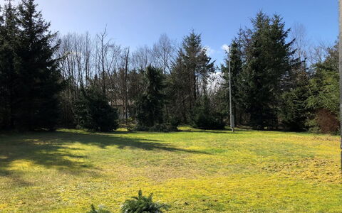 Bosse - from the Sea: Vert, Feuille, Herbe, Jaune, Arbuste, Paysage, Jardin, Lot Terre, Pelouse, Plaine