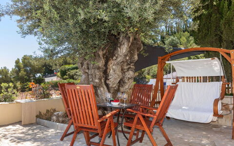 Villa Bellevue: Table, Plante, Meubles, Chaise, Arbre, Ombre, Tableau De Plein Air, Mobilier De Jardin, Bois, Bâtiment