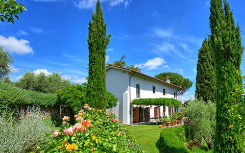 Villa Mami: Nuage, Fleur, Ciel, Plante, Propriété, Bâtiment, Vert, Paysage Naturel, Arbre, Botanique