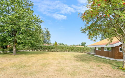 Maira - from the Sea: Herbe, Arbre, Plaine, Paysage, Arbuste, Lot Terre, Domicile, Zone Rurale, Jardin