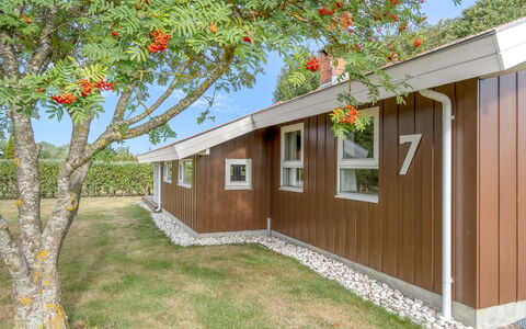 Maira - from the Sea: Bois, Tache De Bois, Dur, Chalet, Jardin, Batiments Jardin, Siding, Pelouse, Arrière-Cour, Cour
