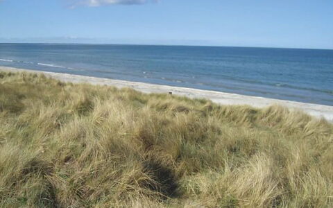 Frithbjorn - 900M from the Sea: Bois, Domicile, Porche, Plate-Forme, Dur, Toit, Tache De Bois, Parquet, Eco Hôtel