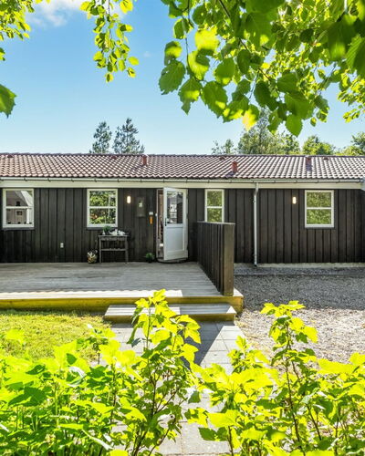 Olli - 600M from the Sea