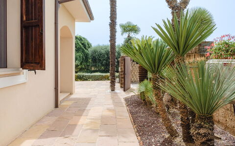 Cyca Holiday Home: Plante, Bâtiment, Ciel, Arbre, Arecales, Terrestre Des Plantes, Ombre, Immobilier, Paysage, Façade