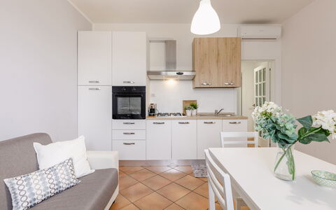 Cyca Holiday Home: Meubles, Fleur, Cabinetry, Propriété, Comptoir, Plante, Design Intérieur, Canapé, Cuisinière