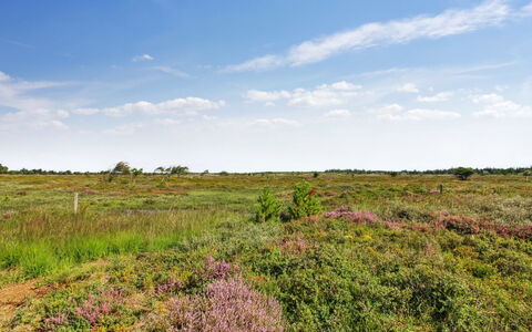 Golubinka - 2.5Km from the Sea