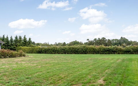 Lari - 600M from the Sea: Arbre, Environnement Naturel, Vert, Prairie, Arbuste, Plaine, Lot Terre, Champ, Couverture De Sol