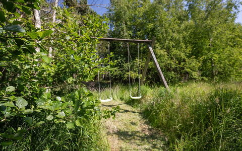 Ejvi - 4Km from the Sea: Herbe, Environnement Naturel, Végétation, Arbuste, Communauté Des Plantes, Couverture De Sol, Réserve Naturelle, Forêt, Des Bois