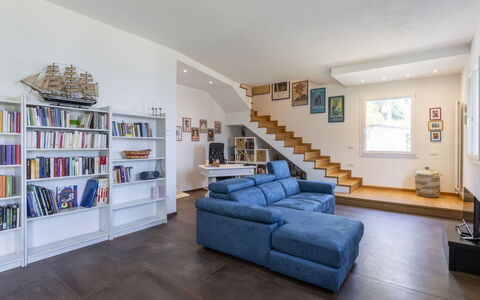 Our Dream: Bibliothèque, Canapé, Meubles, Étagère, Cadre, Confort, Bois, Salon, Table, Rayonnage