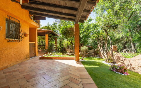 Cordolino Blu: Plante, Propriété, Botanique, Arbre, Ombre, Bâtiment, Herbe, Paysage, Immobilier, Loisir