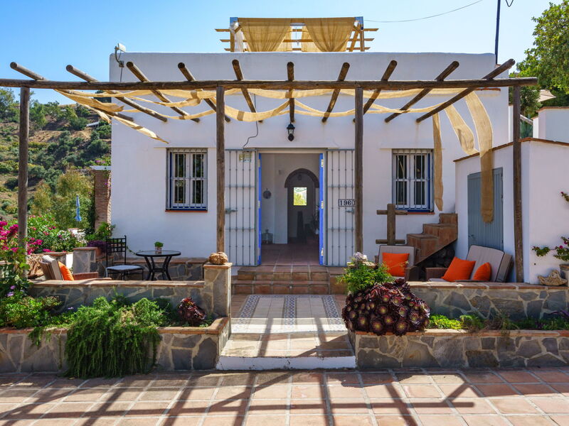 Camelia Blanca