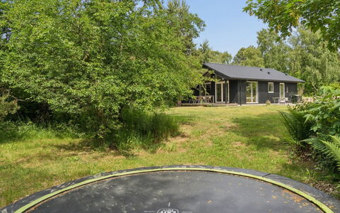 Vojdan - 600M from the Sea: Arbre, Herbe, Arbuste, Lot Terre, Zone Rurale, Domicile, Jardin, Chalet, Pelouse