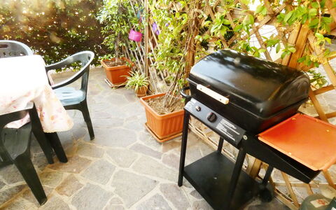 Casa Vacanze Sabrina: Plante, Pot De Fleur, Fleur, Plante D'Appartement, Mobilier De Jardin, Bâtiment, Sol, Salon