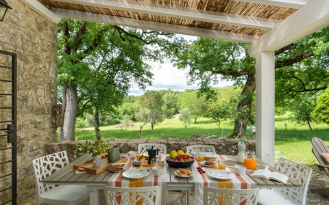 Villa Ida: Plante, Table, Meubles, Propriété, Chaise, Fenêtre, Ombre, Arbre, Éclairage, Design Intérieur