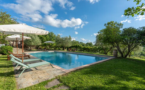 Villa Ida: L'Eau, Nuage, Plante, Ciel, Piscine, Arbre, Herbe, Ombre, Mobilier De Jardin, Paysage Naturel