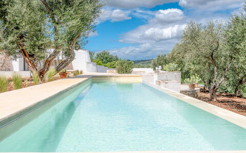 Villa La Selva: L'Eau, Ciel, Nuage, Propriété, Plante, Piscine, Bleu Azur, Arbre, Ombre, Composite