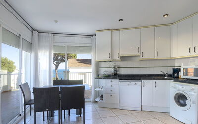 Logement:&nbsp;Palmiers i 656.11