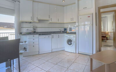 Logement:&nbsp;Palmiers i 656.11