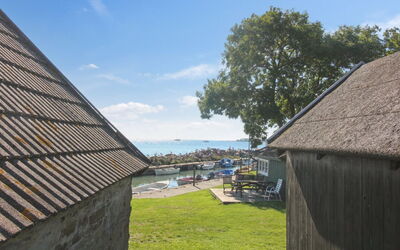 Konrad - 270M from the Sea