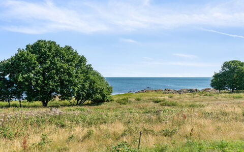 Leoni - 115M from the Sea: Bois, Toit, Architecture, Domicile, Maison, Chalet, Siding, Dur, Pente, Biens