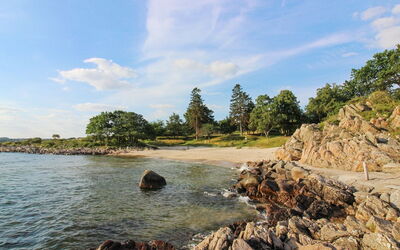 Throtti - 50M from the Sea