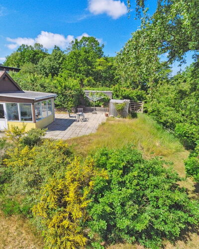Throtti - 50M from the Sea