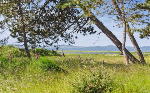 Felis - 575M from the Sea: Bois, Toit, Architecture, Domicile, Maison, Chalet, Siding, Dur, Pente, Biens