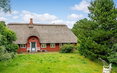 Wiss - 4.1Km from the Sea: 