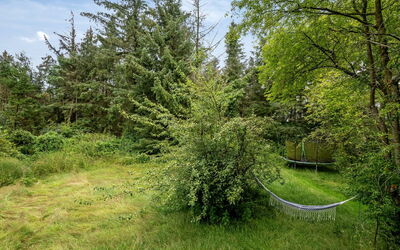 Wiss - 4.1Km from the Sea
